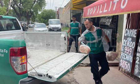carne, pollo y levadura vencida: nuevos decomisos en la ciudad de santa fe carne, pollo y levadura vencida: nuevos decomisos en la ciudad de santa fe