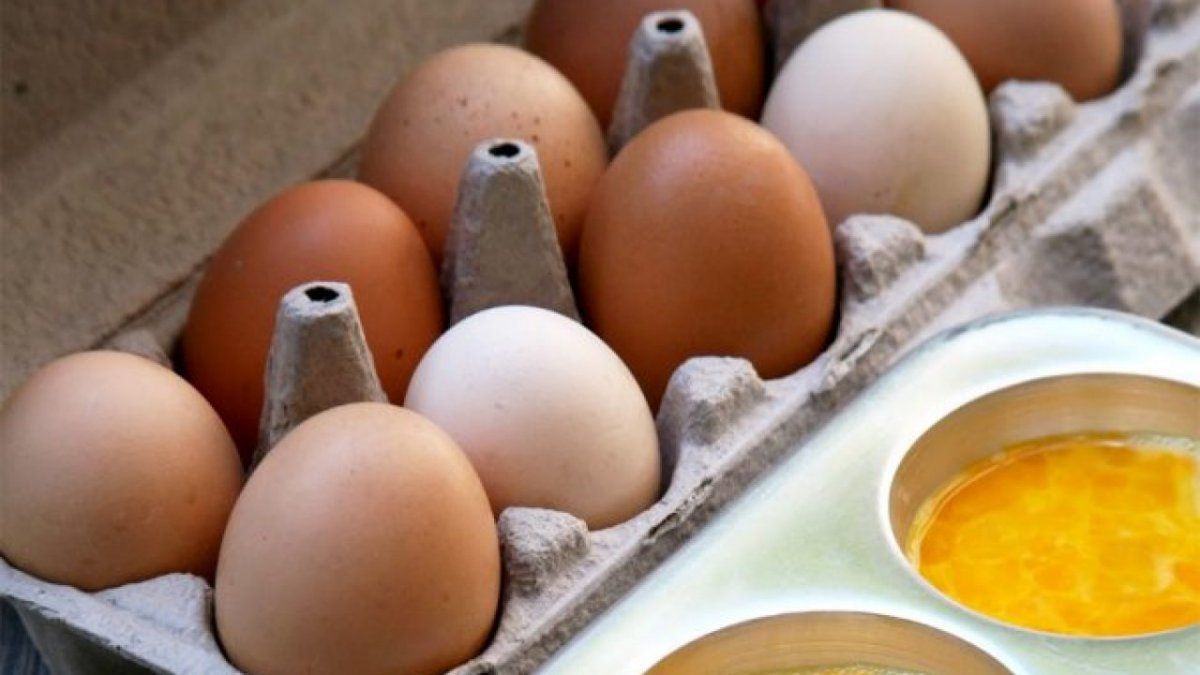 Trucos que mantendrán tus alimentos frescos durante mucho tiempo