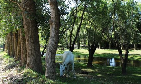 San Esteban, el pueblo de Córdoba que esconde tranquilidad y naturaleza. San Esteban, el pueblo de Córdoba que esconde tranquilidad y naturaleza.