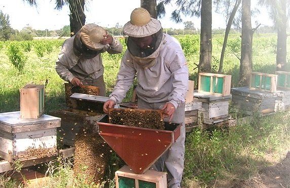 Retrato de familia: Los Bori llevan cuatro generaciones produciendo miel