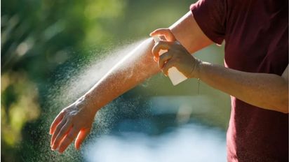 Invasión de mosquitos: cuánto cuestan los distintos tipos de repelentes en Santa Fe