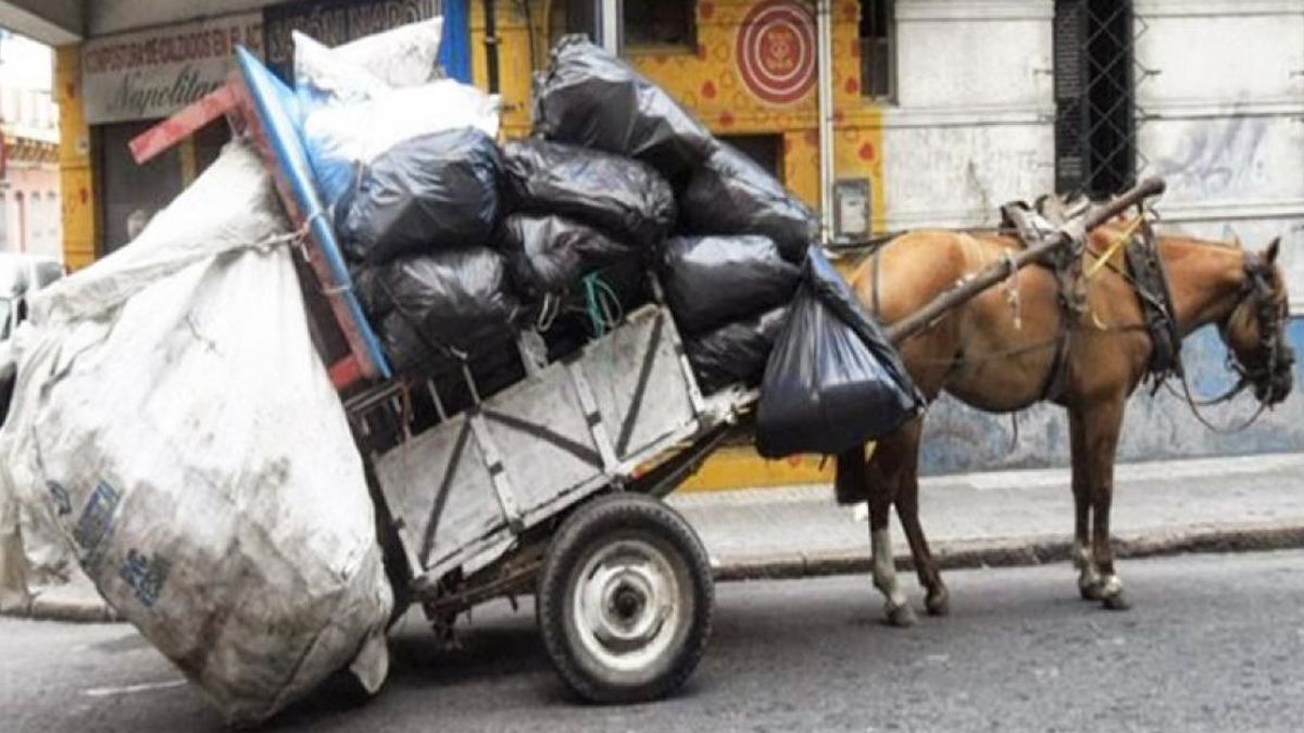 La ONG SOS Caballos se inició en el 2007 porque se veían muchos carros con los caballos en mal estado.