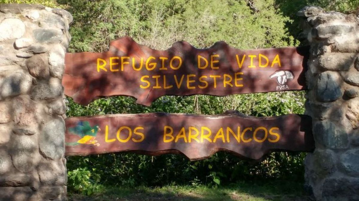 El Refugio de Vida Silvestre Los Barrancos cuenta con unas 1200 hectáreas y es la encargada de proteger la flora y fauna nativas en Luyaba. El Refugio de Vida Silvestre Los Barrancos cuenta con unas 1200 hectáreas y es la encargada de proteger la flora y fauna nativas en Luyaba.