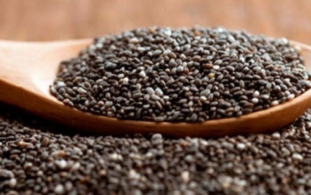 La chía es la mayor fuente vegetal de ácidos grasos Omega 3