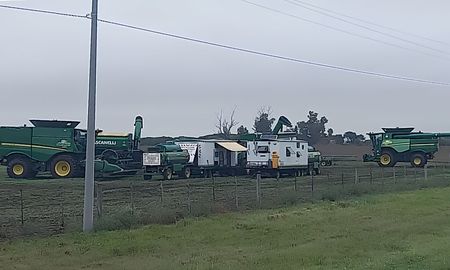 cosecha detenida y perdidas a la vista: el impacto de las lluvias sobre los cultivos en el centro norte de santa fe cosecha detenida y perdidas a la vista: el impacto de las lluvias sobre los cultivos en el centro norte de santa fe