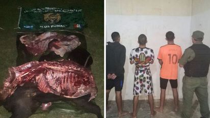 Detienen a cuatro personas por abigeato en las islas de Arroyo Leyes