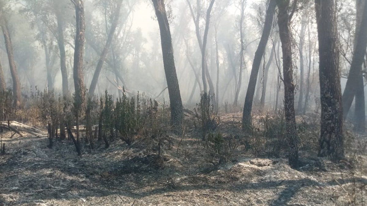 Lo más acuciante es la situación de los isleños