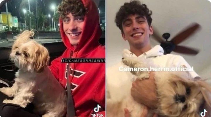 Las jóvenes se centran en el atractivo físico del joven y son favorables a una reducción de la condena (TikTok).