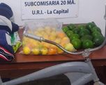 Ocurrió en Arroyo Leyes. El hombre sufrió lesiones al caer de un árbol mientras intentaba llevarse frutas de una propiedad vecina. Ocurrió en Arroyo Leyes. El hombre sufrió lesiones al caer de un árbol mientras intentaba llevarse frutas de una propiedad vecina.