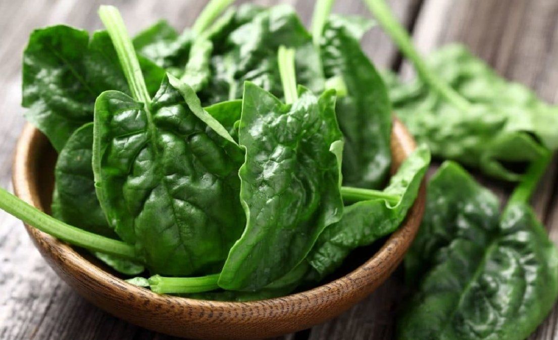 Contraindicaciones de consumir espinacas en exceso para el organismo