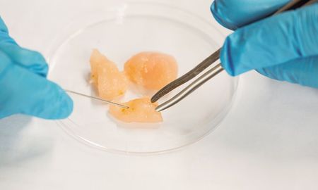 Singapur decidió abrir la puerta a la producción de carne en laboratorio a partir de células de pollo Singapur decidió abrir la puerta a la producción de carne en laboratorio a partir de células de pollo