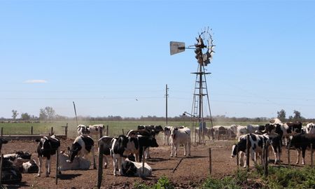tras la angustiante sequia, llegaron las lluvias y dieron un rayo de esperanza a los productores tras la angustiante sequia, llegaron las lluvias y dieron un rayo de esperanza a los productores