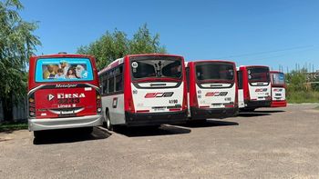 Terminaron las asambleas y comienza a normalizarse el servicio en las cinco líneas de colectivos 