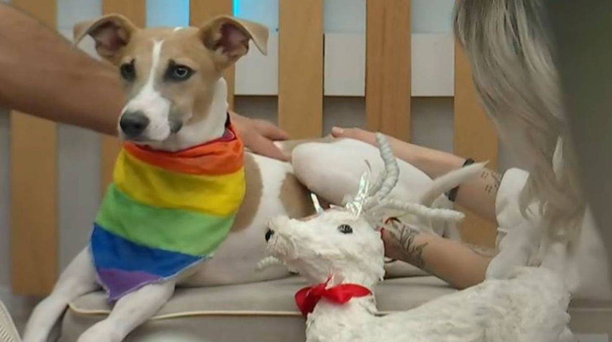 Arturo es la nueva mascota de Gran Hermano 2023.