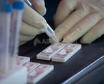 coronavirus en argentina: 560 personas murieron y hay 39.207 nuevos casos