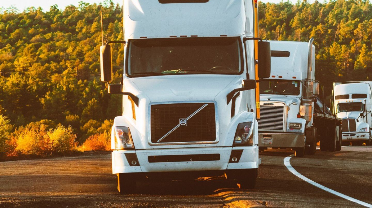 Avalancha de juguetes sexuales: un camión cargado de consoladores volcó en la ruta y se hizo viral