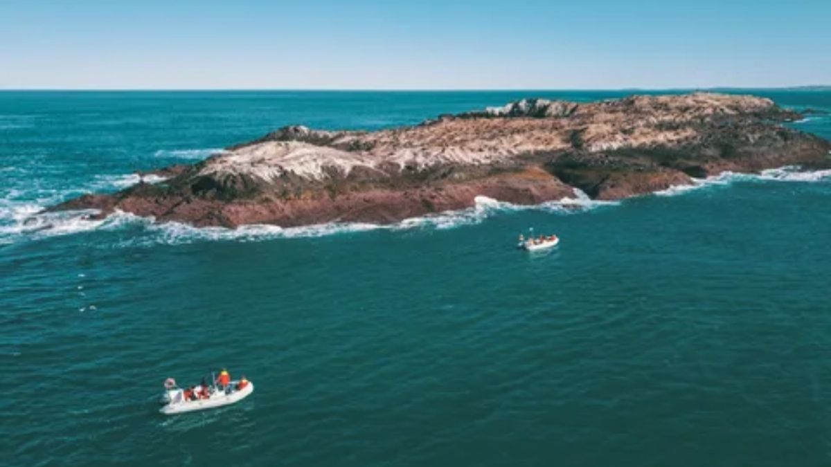 El Parque Provincial Patagonia Azul está en Chubut. El Parque Provincial Patagonia Azul está en Chubut.
