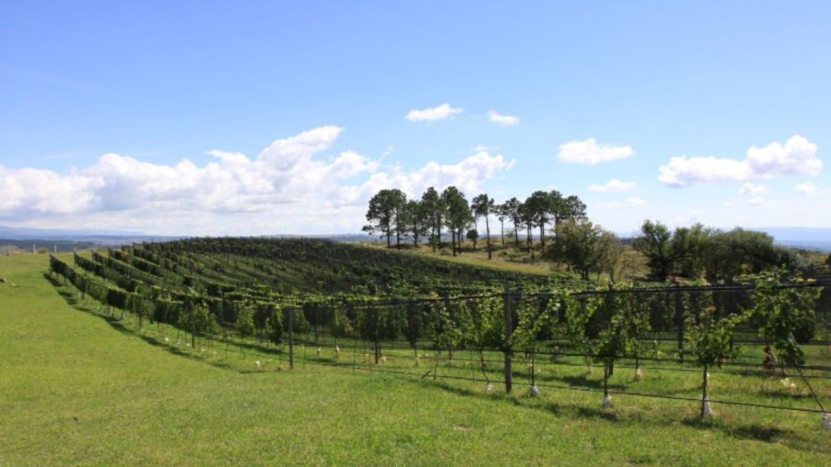 Escapada a San Miguel de los Ríos, una joya natural de Córdoba. Escapada a San Miguel de los Ríos, una joya natural de Córdoba.