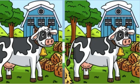 RETO VISUAL nivel PRO: solo el 3% encontró las 3 diferencias ¡en 7 segundos! RETO VISUAL nivel PRO: solo el 3% encontró las 3 diferencias ¡en 7 segundos!