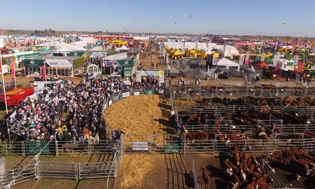 agroactiva 2026 prepara una edicion ganadera historica con tecnologia de punta y remates de elite agroactiva 2026 prepara una edicion ganadera historica con tecnologia de punta y remates de elite