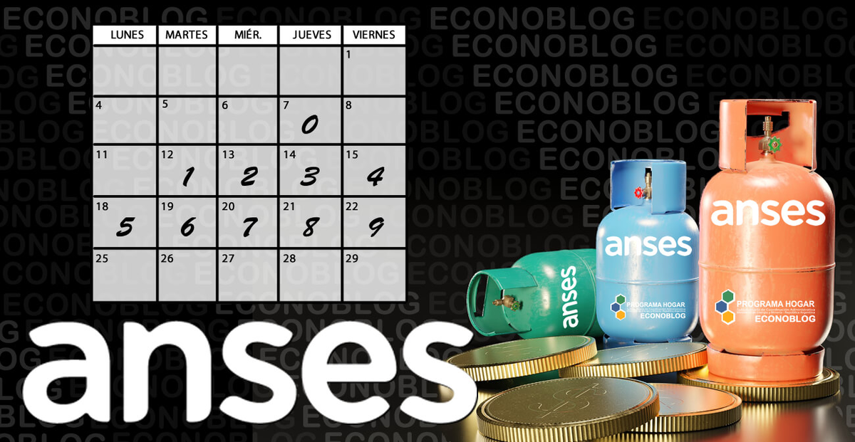 Anses acredita una suma para la compra de un insumo fundamental para combatir el frío de estos días.