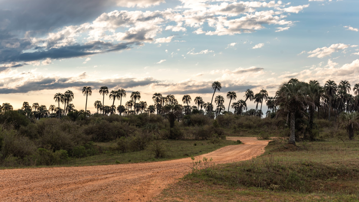 Escapada de trekking a un hermoso parque natural de Entre Ríos, con paisajes de postal