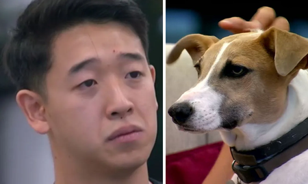 El emotivo video del reencuentro de Martín Ku y el perro Arturo de Gran Hermano. El emotivo video del reencuentro de Martín Ku y el perro Arturo de Gran Hermano.