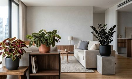 Las 3 plantas que podés tener en tu living. Las 3 plantas que podés tener en tu living.