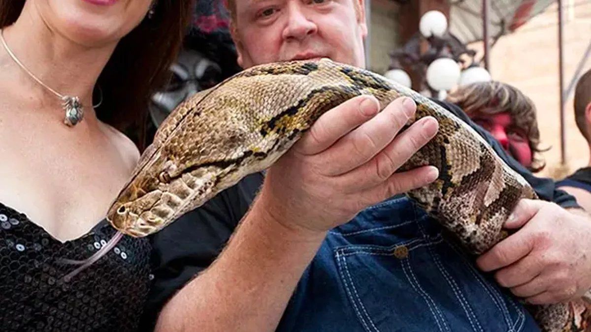 Medusa la serpiente más larga del mundo