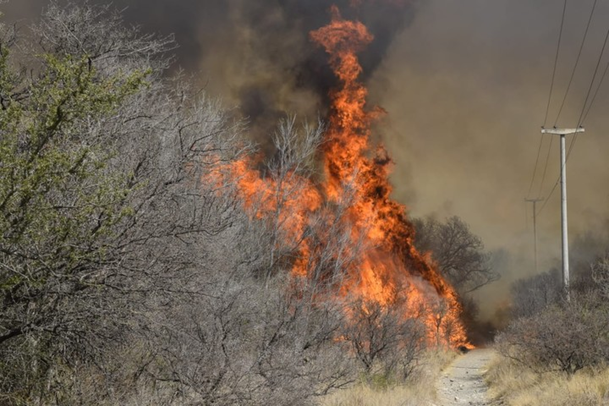 Los incendios en Córdoba afectaron la zona de la propiedad de Patricia Sosa. Los incendios en Córdoba afectaron la zona de la propiedad de Patricia Sosa.