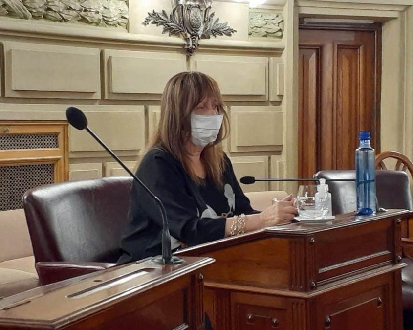 La reunión del Comité de Emergencia Covid 19 del departamento San Martin fue presidido por la senadora departamental, Cristina Berra.