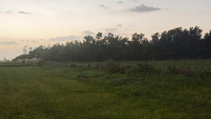 Fuertes ráfagas de viento derribaron nueve postes de media tensión y afectaron la línea rural entre Franck y Las Tunas