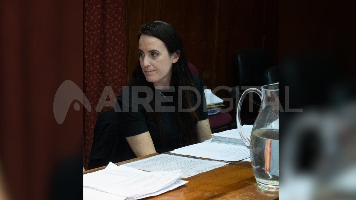 Gisela Alemandri, defensora pública Gisela Alemandri, defensora pública