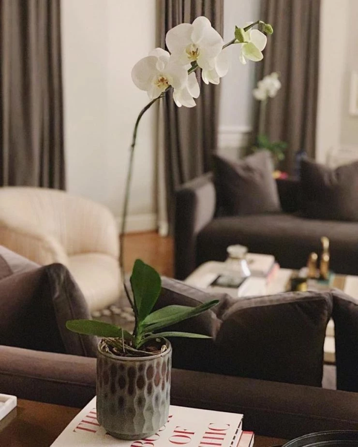 Así es la increíble casa de Mariana Fabbiani