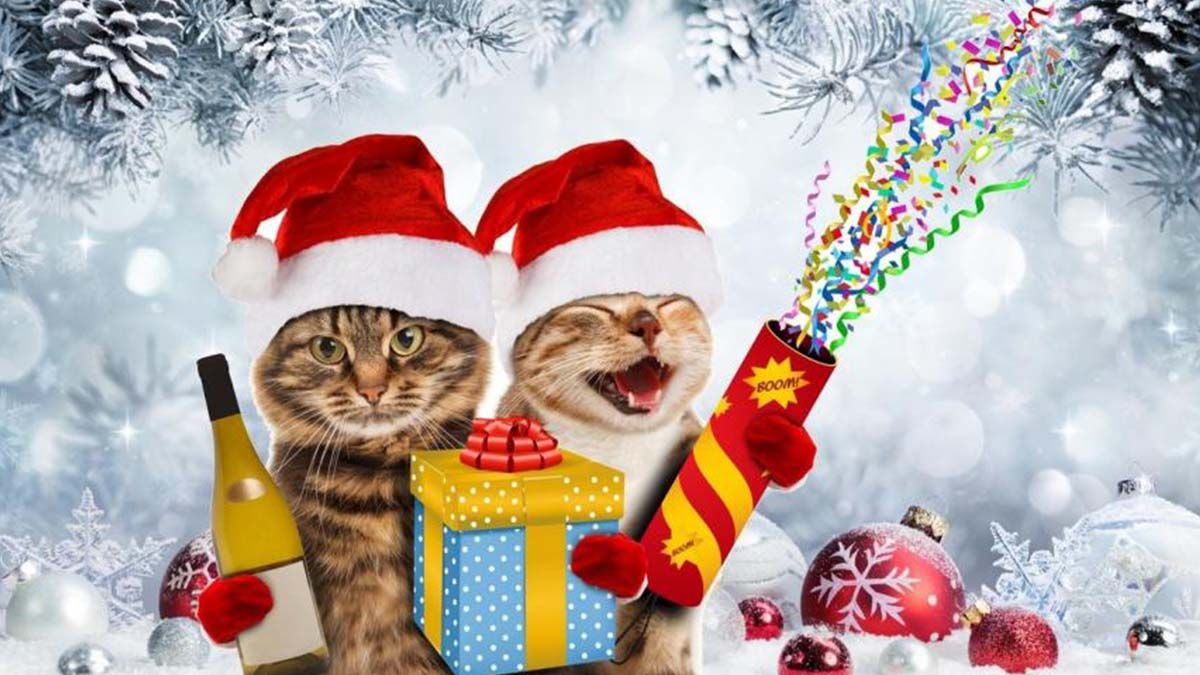 Los mensajes de Navidad más insólitos y divertidos que podés enviar por WhatsApp