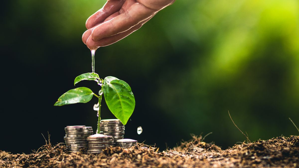 Esta es la razón por la que deberías colocar una moneda en la tierra de las plantas.