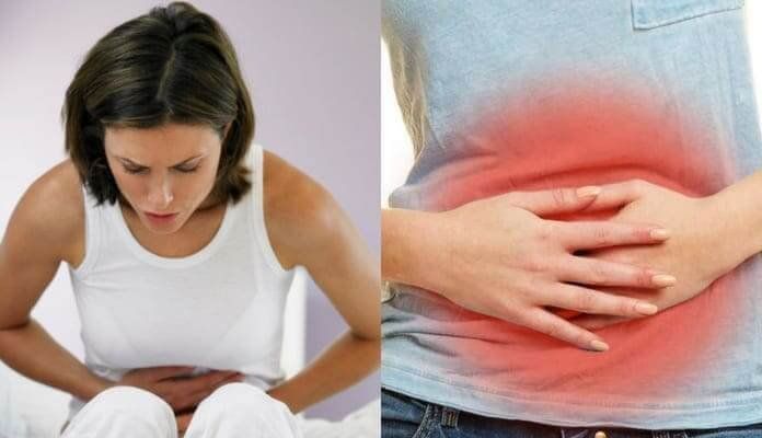 4 plantas medicinales para calmar la indigestión de manera natural