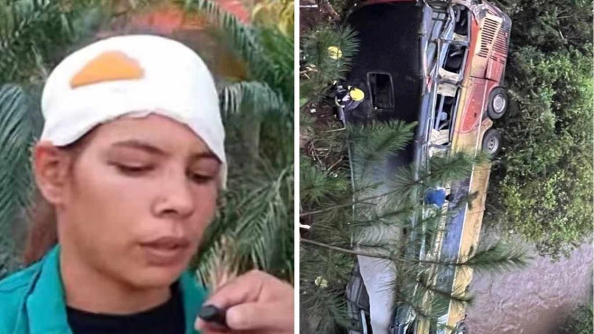 Tragedia en Misiones: una sobreviviente del accidente fatal relató el ...