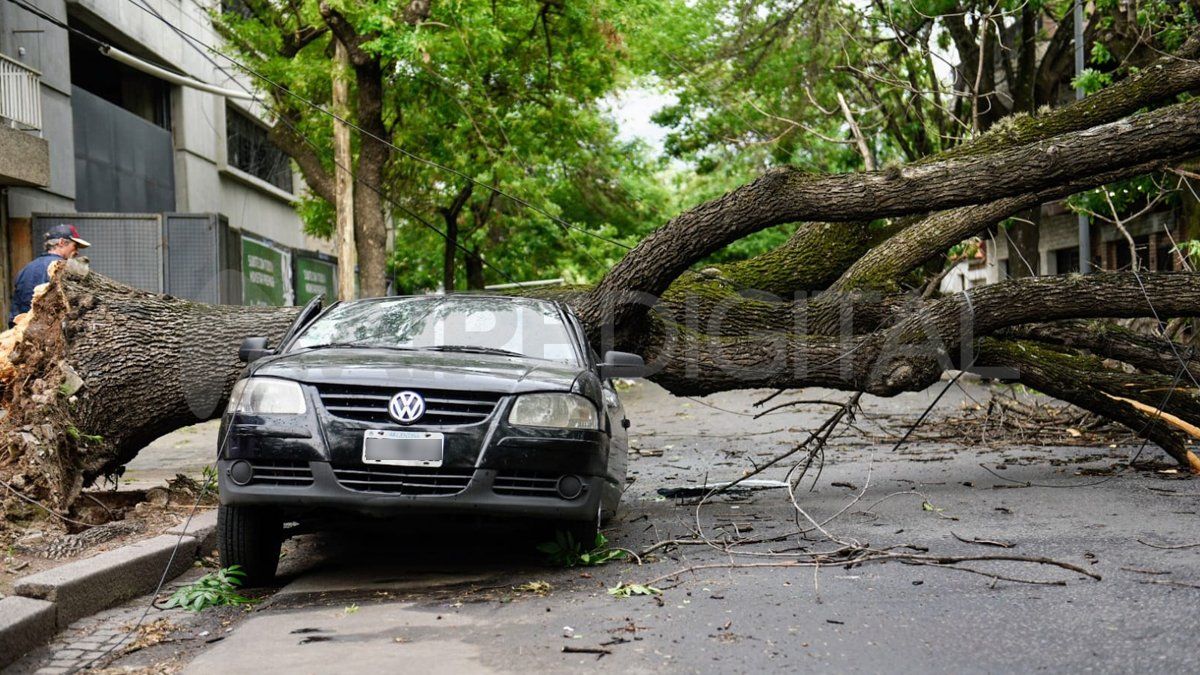Fuerte temporal en Santa Fe: se restableció el servicio de transporte público de colectivos