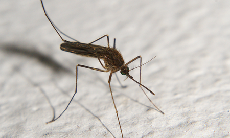 Aire de Santa Fe | AEDES.png