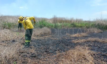 Se realizó el trabajo Efectos de los incendios 2020 en el suelo y biota de humedales del río Paraná: Perspectivas de restauración ecológica”. Se realizó el trabajo Efectos de los incendios 2020 en el suelo y biota de humedales del río Paraná: Perspectivas de restauración ecológica”.