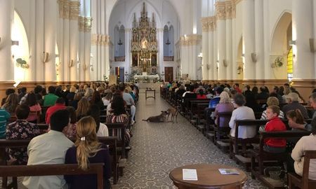 Semana Santa: en las iglesias de la ciudad se celebra el Domingo de Pascua