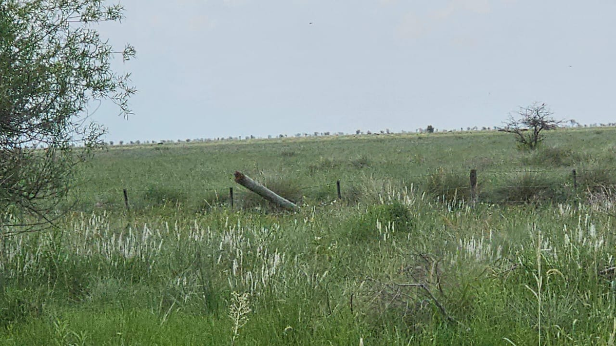 Muchos de los postes caídos se quebraron durante la tormenta. Muchos de los postes caídos se quebraron durante la tormenta.