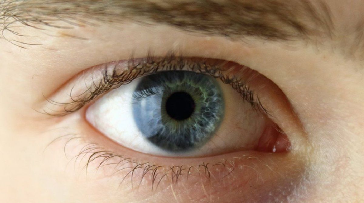 El ojo es uno de los &oacute;rganos m&aacute;s complejos y mejor desarrollados del cuerpo humano.