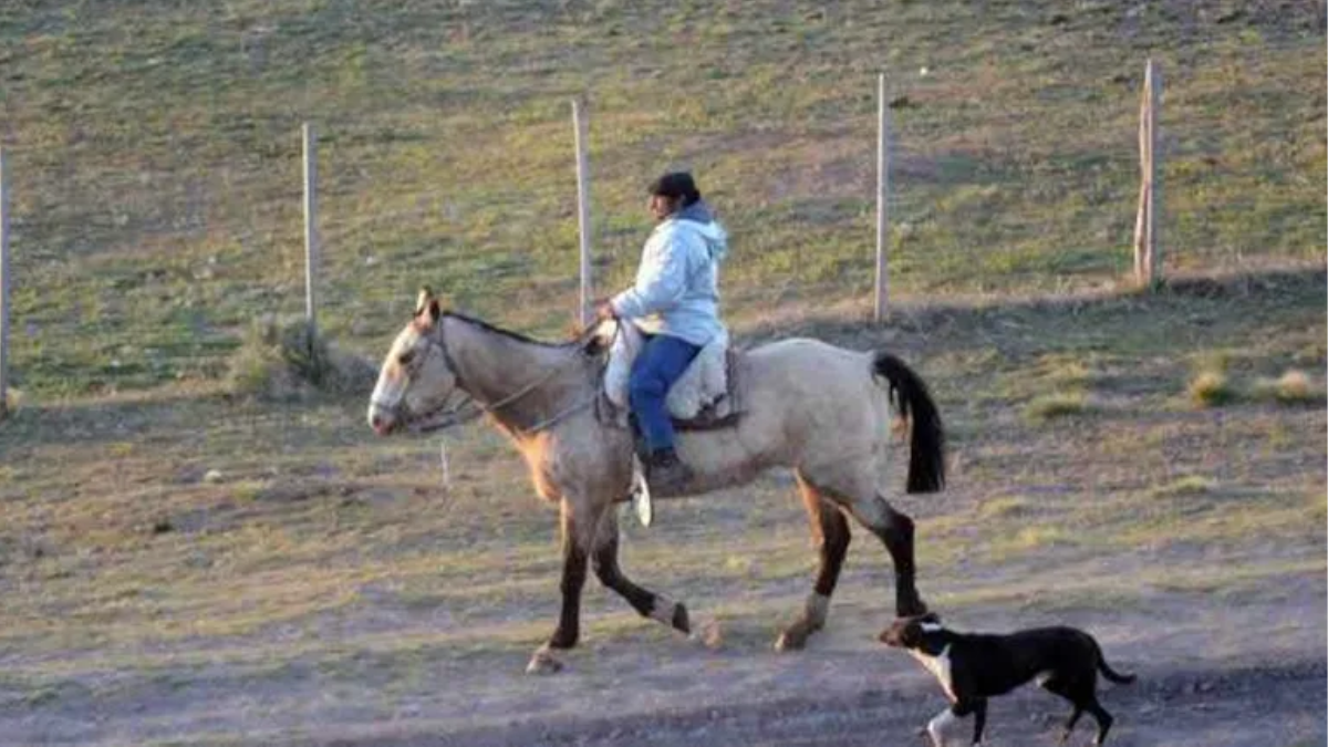 Sueldos rurales en julio 2026.