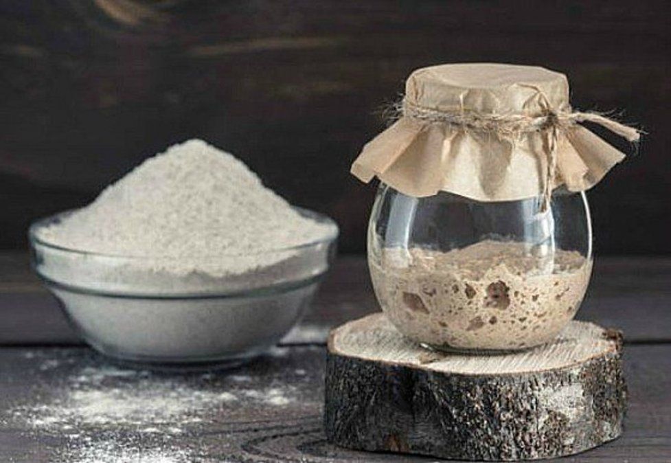 Masa madre natural: ¿qué es, cómo se elabora y cómo se conserva?
