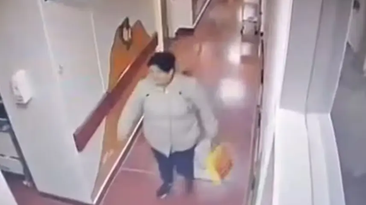 Abuela detenida por robarle el celular a una enfermera en un hospital de Mar del Plata