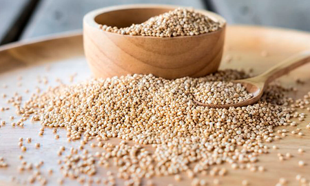 El superalimento utilizado por la NASA por sus innumerables beneficios El superalimento utilizado por la NASA por sus innumerables beneficios