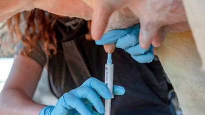 TodoLáctea 2025: reconocimiento a la calidad de la leche y el bienestar animal en el tambo