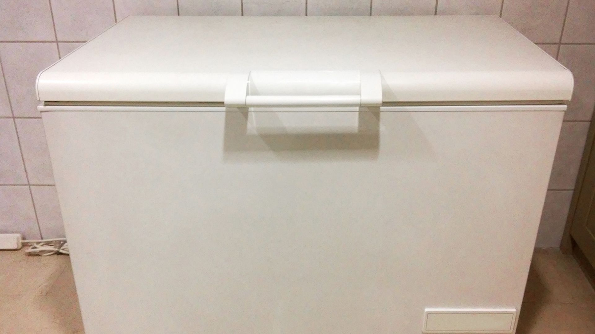 Luego de requisar toda la casa, los policías encontraron el cuerpo dentro de un freezer